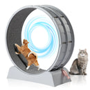 31-Inch Cat Exercise Wheel