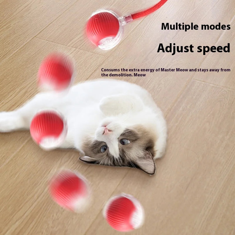 Rechargeable Interactive Smart Cat Toy