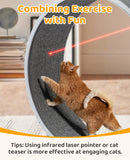 31-Inch Cat Exercise Wheel