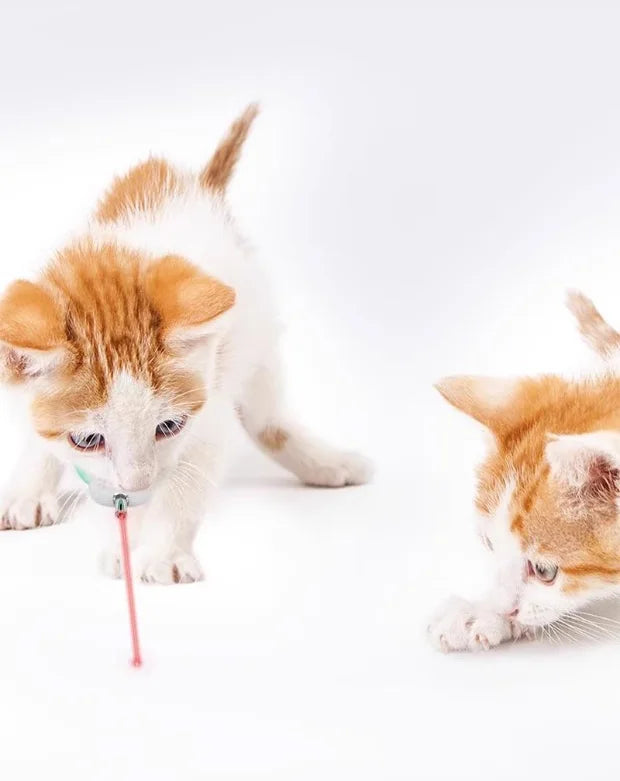 Franklin's Pick: Smart Laser Robot Cat Toy - USB Rechargeable