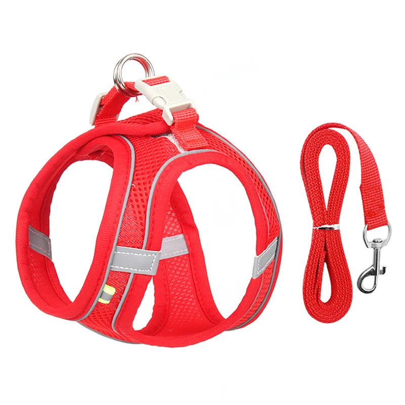 Red / l 8-12 kg