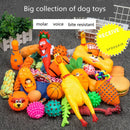 Complete Dog Toy Kit