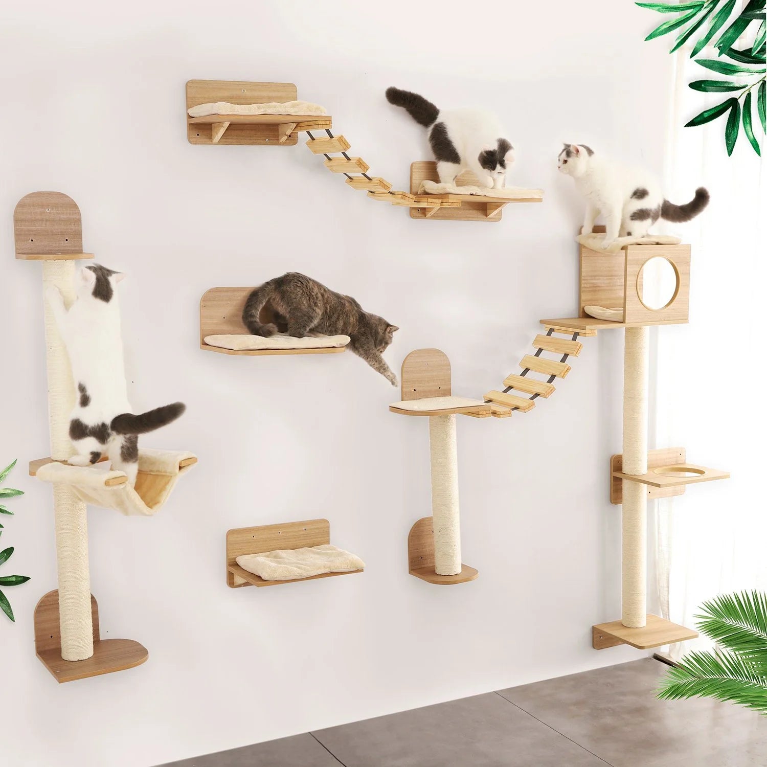 🧗 Franklin's Pick: Wall-Mounted Cat Climbing Rope - Ultimate Space-Saving Vertical Playground