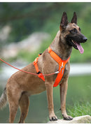 No-Pull Reflective Dog Harness - Adjustable Vest