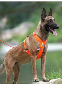 No-Pull Reflective Dog Harness - Adjustable Vest