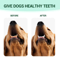 Complete Pet Dental Kit - Fresh Breath & Ear Care