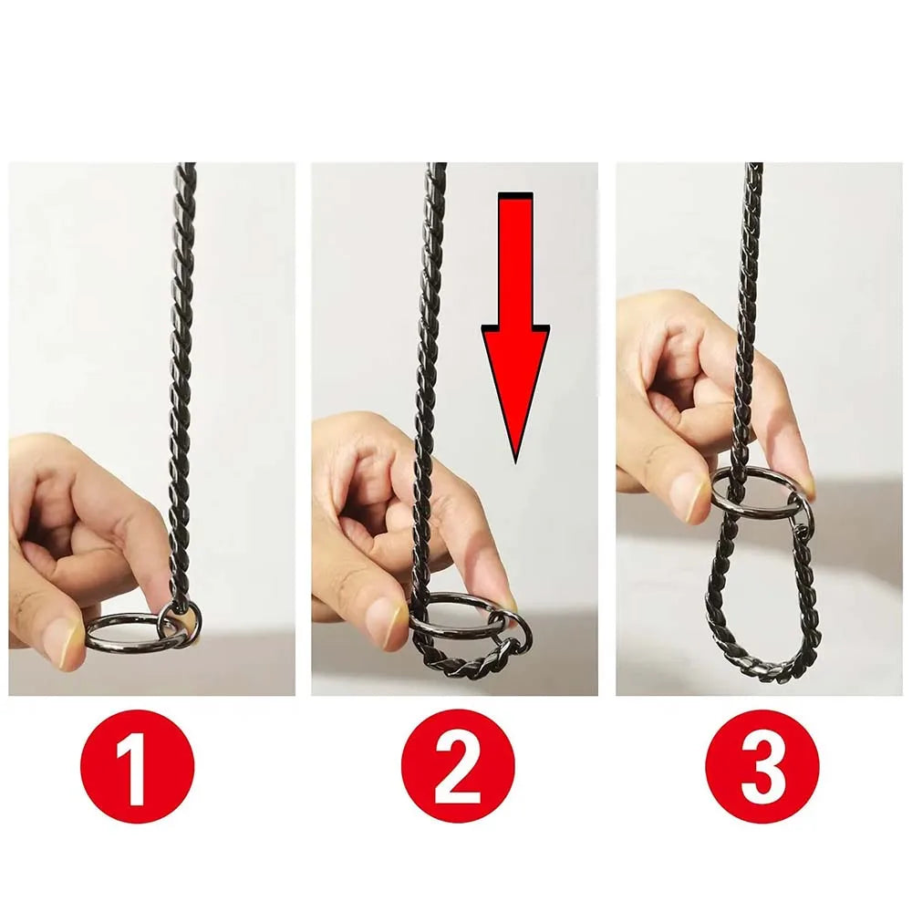 Professional Stainless Training Chain by Tail chasers