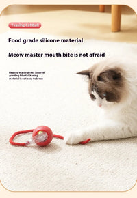 Rechargeable Interactive Smart Cat Toy