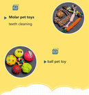 Complete Dog Toy Kit