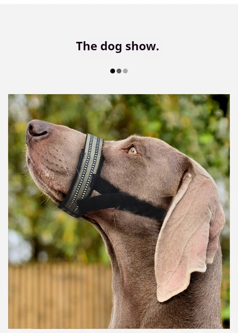 Reflective Tactical Muzzles for Medium Large Dogs Leads for Anti Barking Training Rope Guide Pet Mouth Cover Big Dog Accessories by Tail chasers