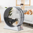 31-Inch Cat Exercise Wheel