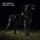 Waterproof Thermal Dog Jacket by Tail chasers