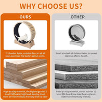 Large Cat Exercise Wheel 40 Inch Treadmill Exerciser for Indoor Cats Love Kitty Running Toy Walking Training for Fitness Weight by Tail chasers