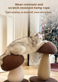 MUSHROOM SCRATCHING TREE