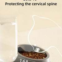 Complete Pet Feeding Station