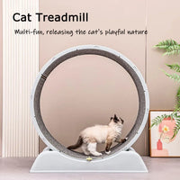 Large Exercise Wheel for Active Cats