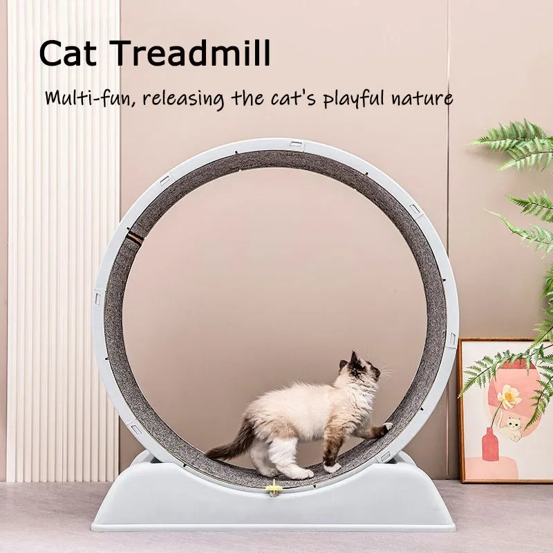 Silent Cat Exercise Wheel