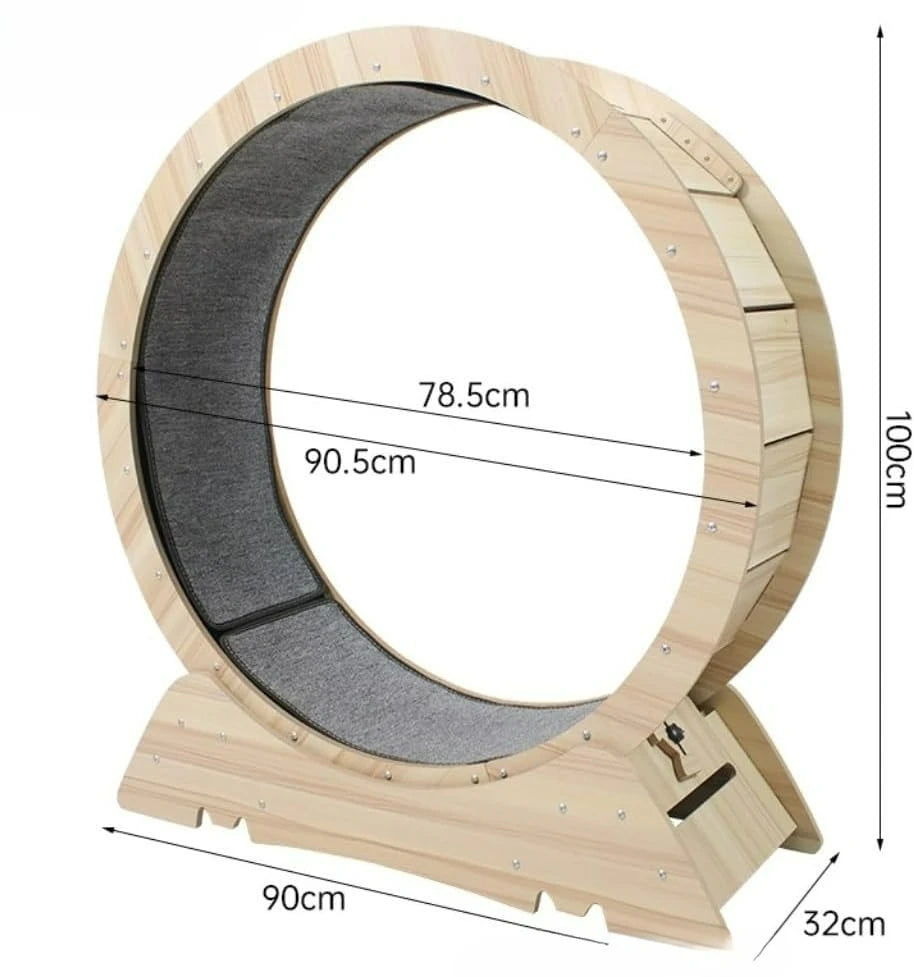 Silent Cat Exercise Wheel - 360° Whisker-Friendly Space-Saving Design