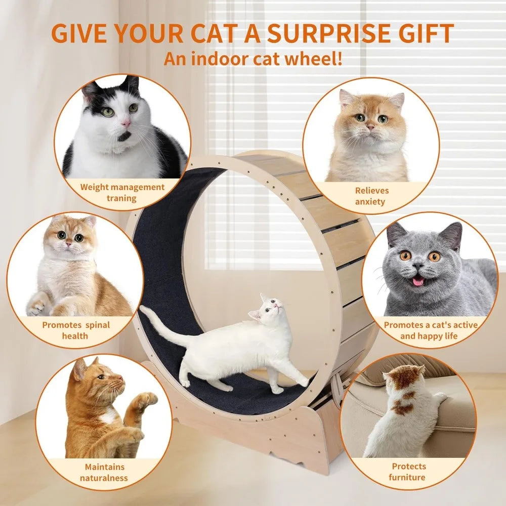 Large Cat Exercise Wheel 40 Inch Treadmill Exerciser for Indoor Cats Love Kitty Running Toy Walking Training for Fitness Weight by Tail chasers