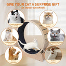 Large Cat Exercise Wheel 40 Inch Treadmill Exerciser for Indoor Cats Love Kitty Running Toy Walking Training for Fitness Weight by Tail chasers