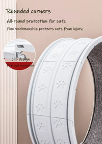 Large Exercise Wheel for Active Cats
