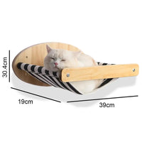 Wall-Mounted Cat Climbing System