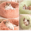 All-Season Cat Beds