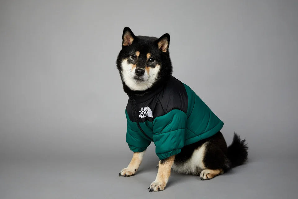 Winter Dog Down Jacket - Warm Thick Vest
