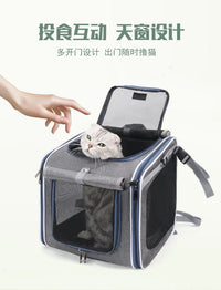 Stylish Nordic Pet Backpack
