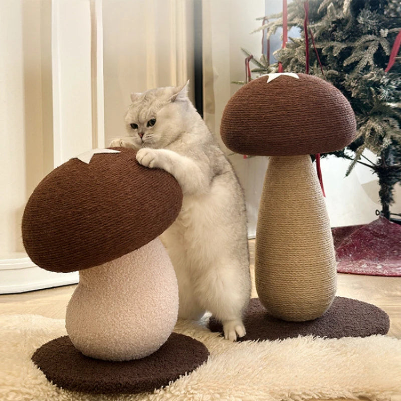 Cat Trees & Scratchers
