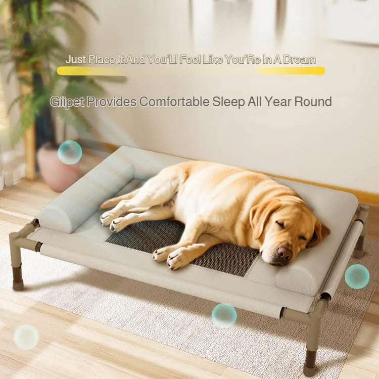 Elevated Pet Bed - Breathable Mesh for Medium & Large Dogs/Cats