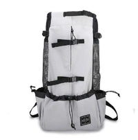 S984e58c26f6c4983a1b3a0c7c7e1ea90z