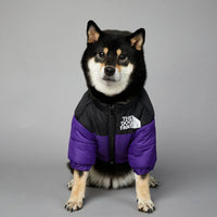 Winter Dog Down Jacket - Warm Thick Vest