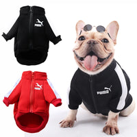 Cozy Winter Puma Dog Coat