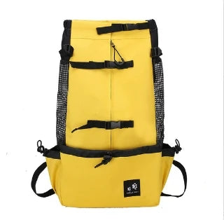 S9b5230fc2d3544c79be802a249aa87907