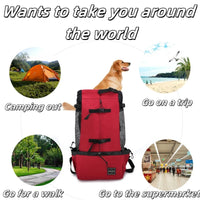 S9c9c7ad32af243f7b9cc8fa4e5146b623