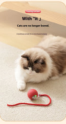 Rechargeable Interactive Smart Cat Toy