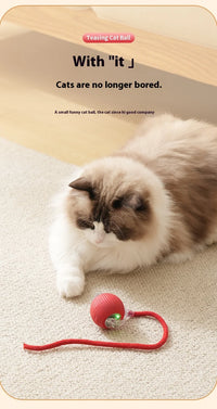 Rechargeable Interactive Smart Cat Toy