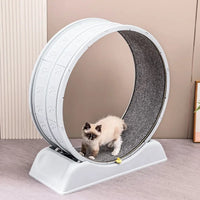 Large Exercise Wheel for Active Cats