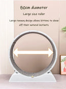 Silent Cat Exercise Wheel