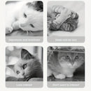 Smart Interactive Puzzle Toy - Brain-Boosting Fun