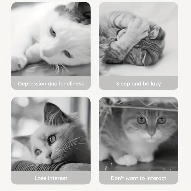 Smart Interactive Puzzle Toy - Brain-Boosting Fun