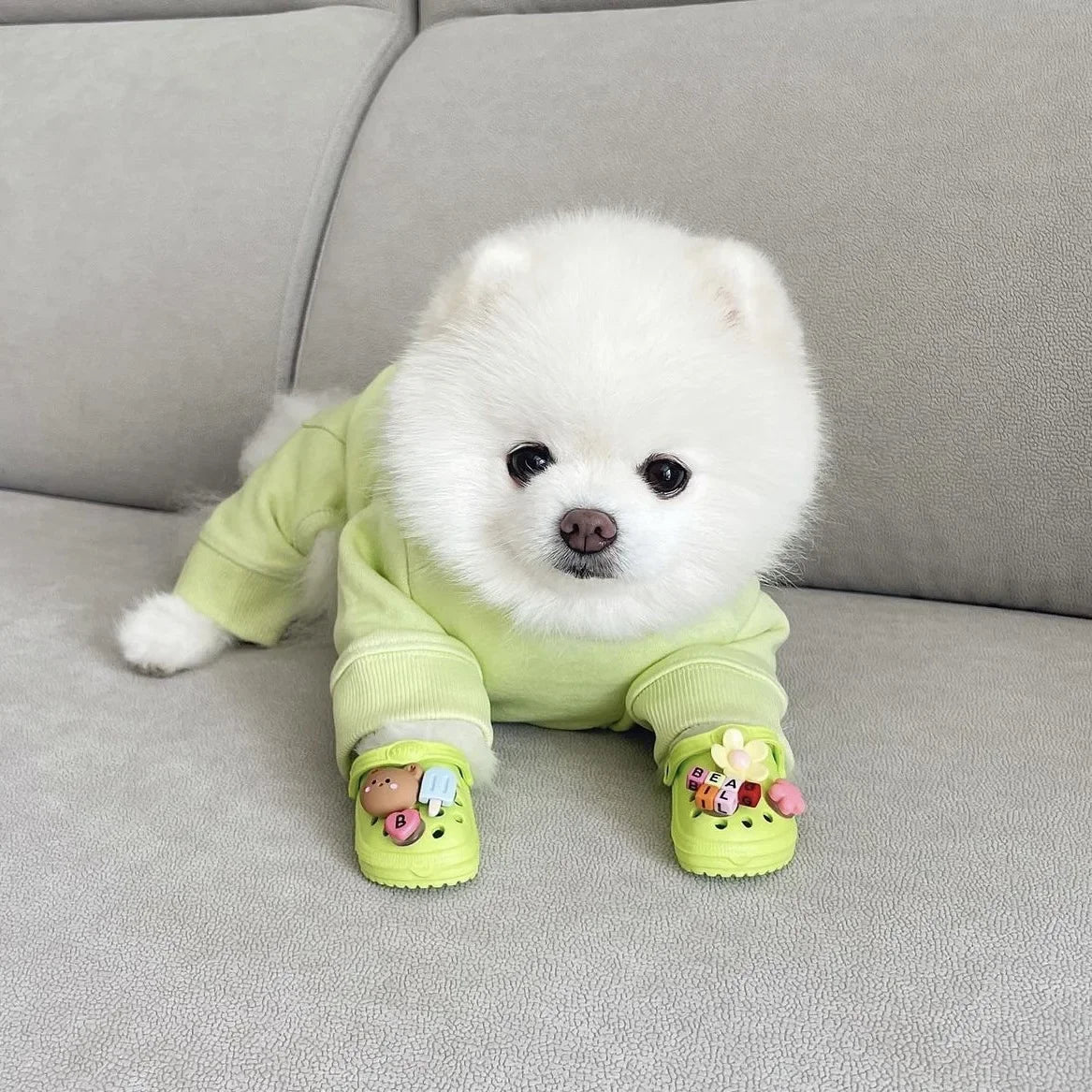 🏖️ Trendy Pet Beach Shoes - Instagram-Worthy Breathable Paradise with DIY Charm