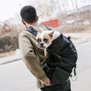 Outdoor Travel Dog Backpack
