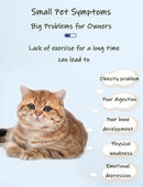 Large Exercise Wheel for Active Cats