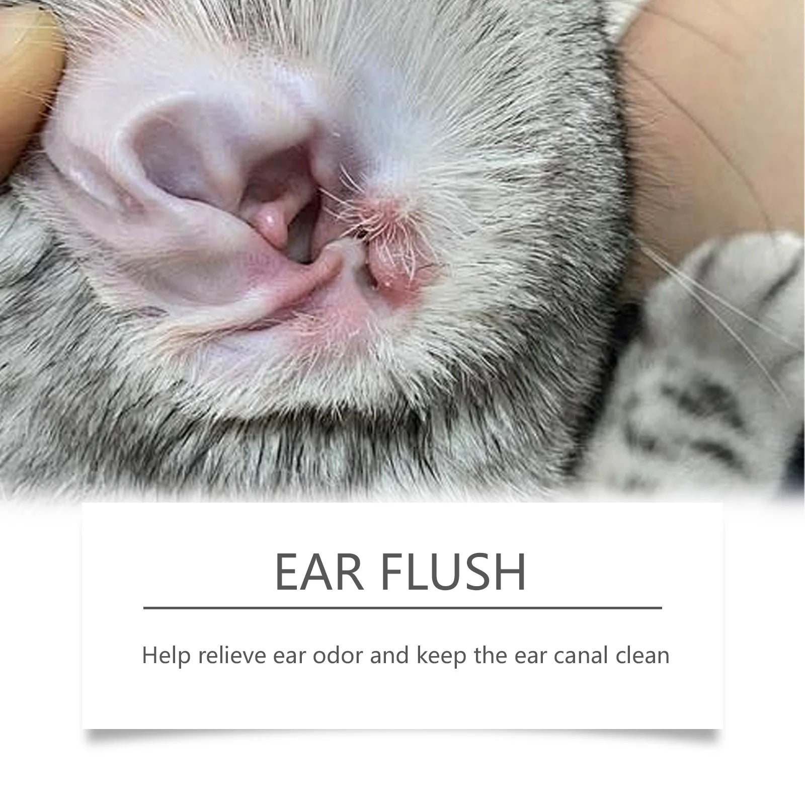 Gentle Pet Ear Cleaning Solution