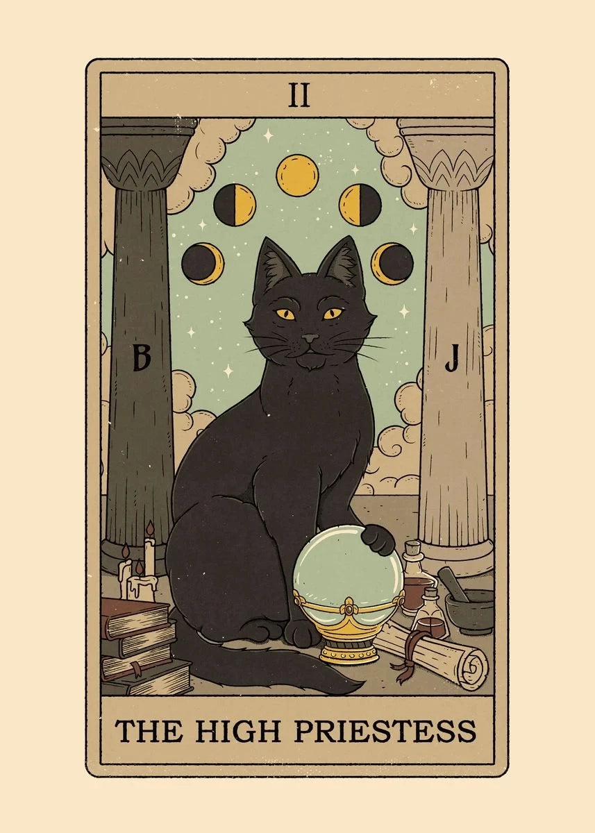 Black and White Cat Tarot Canvas Poster Good Luck Wall Art Pictures for Living Room Bedroom Playroom Modern Home Decor Gift by Tail chasers