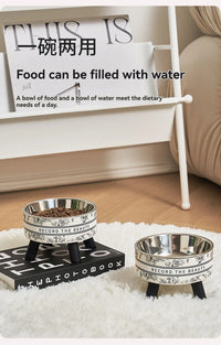 Beautiful Flower-Shaped Cat Bowl