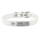 Personalized Engraved Leather Dog Collar