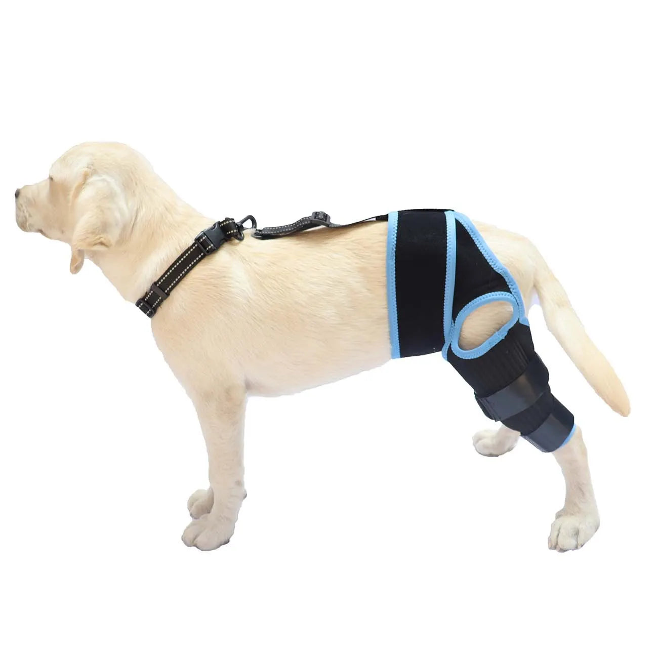 Dog Leg Support Brace - Help Your Dog Walk Comfortably Again